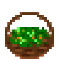 herb