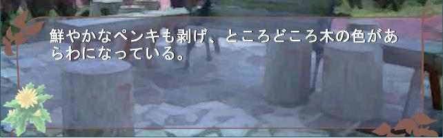 瞳の視点